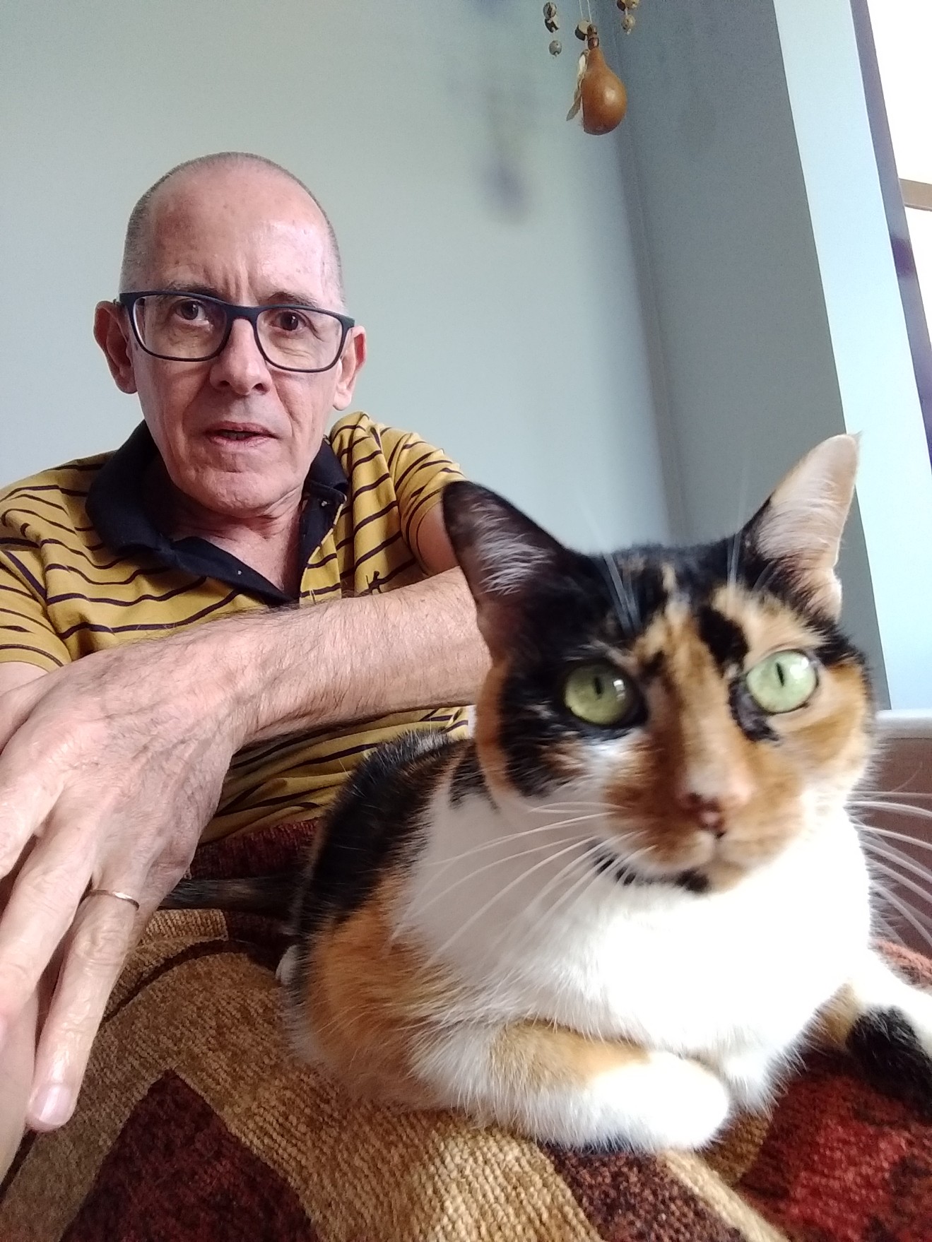 optimized by avast cleanup